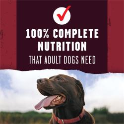 On a maroon and brick red background, texts reads "100% complete nutrition that adult dogs need." Above sits a red checkmark. Below the text, a photo of a chocolate lab looks out into the distance with his tongue out