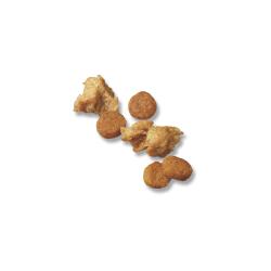 kibble