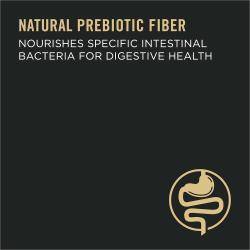 natural prebiotic fiber - nourishes specific intestinal bacteria for digestive health