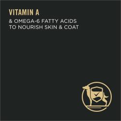 Vitamin A and omega 6 fatty acids to nourish skin and coat