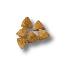 Purina Pro Plan Small Breed Shredded Blend chicken and rice dry dog food kibble