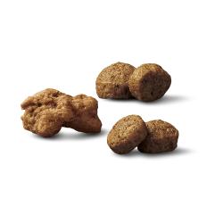 Purina Pro Plan Small Breed Shredded Blend chicken and rice dry dog food kibble