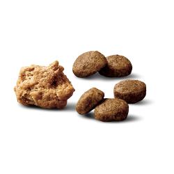 Purina Pro Plan Small Breed Shredded Blend lamb and rice dry dog food kibble