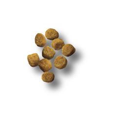 Purina Pro Plan Toy Breed Shredded Blend chicken and rice dry dog food kibble