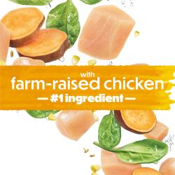A splash yellow banner shows text that reads "with farm-raised chicken #1 ingredient." Spinach, corn kernels, sweet potatoes, and chicken adorn the background.