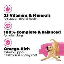 A yellow lab bows down playfully on a white and pink background in the bottom right corner. Next to the dog is bullet-pointed text that reads "23 vitamins and minerals to support overall health, 100% complete and balanced for adult dogs, omega-rich to help support healthy skin and shiny coat"
