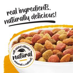 A close-up of a bowl of kibble on a yellow and white background. Above text reads "real ingredients, naturally delicious." A badge next to the kibble reads "naturals with added vitamins, minerals and nutrients."