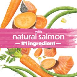A splash pink banner shows text that reads "with natural salmon #1 ingredient." Carrots, green beans, sweet potatoes, and salmon adorn the background.
