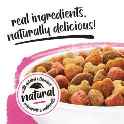 A close-up of a bowl of kibble on a pink and white background. Above text reads "real ingredients, naturally delicious." A badge next to the kibble reads "naturals with added vitamins, minerals and nutrients."