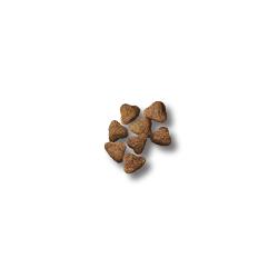 Purina Pro Plan Sport 30/20 dry dog food kibble