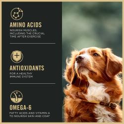 Purina Pro Plan Sport Active 27/17 dog food label showing amino acids