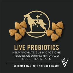 Purina Pro Plan Sport Active 27/17 dog food label highlighting live probiotics and veterinarian recommended brand