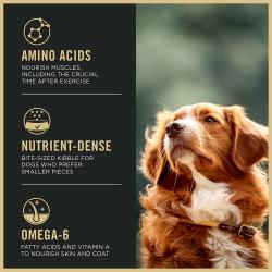 Etiqueta del alimento para perros Purina Pro Plan Sport Small Bites 27/17 que muestra aminoácidos, alta densidad de nutrientes y ácidos grasos omega-6