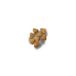 Purina Pro Plan Sport Small Bites 27/17 dry dog food kibble