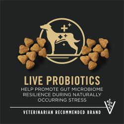 Etiqueta del alimento para perros Purina Pro Plan Sport Small Bites 27/17 que destaca los probióticos vivos