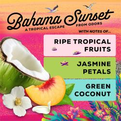 Bahama Sunset is a troptical escape from odors with notes of ripe tropical fruits, jasmine petals, and green coconut.