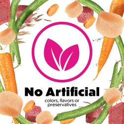 no artificial colors, flavors, preservative
