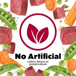 no artificial colors, flavors, preservative
