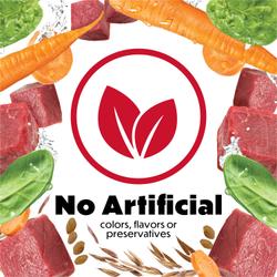 no artificial colors, flavors, preservative