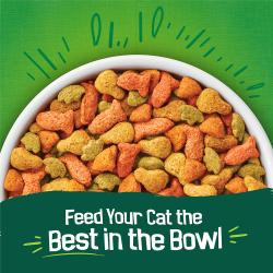 Feed your cat the best in the bowl