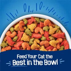 Feed your cat the best in the bowl