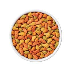 Friskies Indoor Delights kibble in a bowl