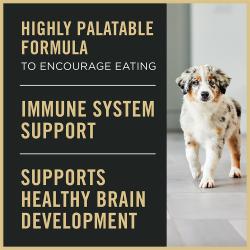 Purina Pro Plan Puppy Starter is highly palatable and supports healthy brain development
