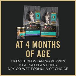 Information for when to transition from puppy starter to another Pro Plan puppy food.