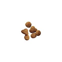 croquetas de alimento seco para gatos Pro Plan Piel y Estómago Sensibles de salmón