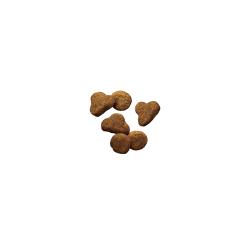 Pro Plan Sensitive Skin and Stomach salmon dry cat food kibble