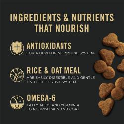 Pro Plan Sensitive Skin and Stomach cat food is made with antioxidants and omega 6 fatty acids