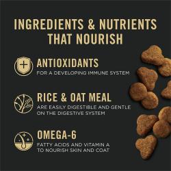 Pro Plan Sensitive Skin and Stomach cat food is made with antioxidants and omega 6 fatty acids