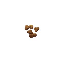 Pro Plan Sensitive Skin and Stomach salmon dry cat food kibble