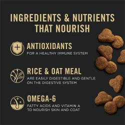 El alimento para gatos Pro Plan Piel y Estómago Sensibles está elaborado con antioxidantes y ácidos grasos omega 6.