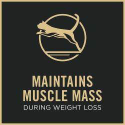Purina Pro Plan Weight Management cat food helps maintain muscle mass during weight loss