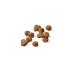 Purina Pro Plan All Life Stages Chicken and Rice dry cat food kibble