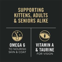 Purina Pro Plan All Life Stages wet cat food supports kittens adults and senior cats