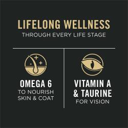 Purina Pro Plan All Life Stages wet cat food supports kittens adults and senior cat