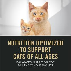 Etiqueta del empaque de alimento para gatos que destaca una nutrición optimizada para apoyar a gatos de todas las edades