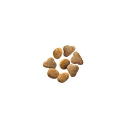 Purina Pro Plan Complete Essentials dry cat food kibble.