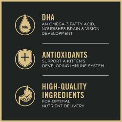 Etiqueta del paquete de comida para gatos que destaca los antioxidantes DHA y los ingredientes de alta calidad.