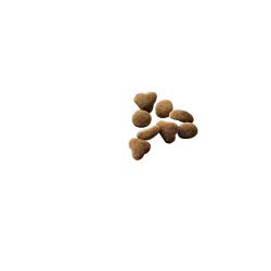 Purina Pro Plan Complete Essentials chicken and rice dry kitten food kibble.