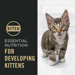 Cat food package label highlighting brain development and supports strong bones and teeth.