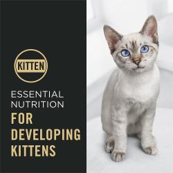 Purina Pro Plan Complete Essentials contiene nutrición formulada para gatitos en desarrollo.