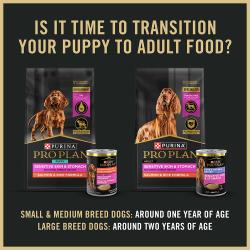 Information for when to transition a puppy to Pro Plan adult sensitive skin and stomach dog food.