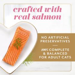 Fancy Feast with Real Salmon - No Artificial Preservatives - Complete and Balanced for Adult Cats