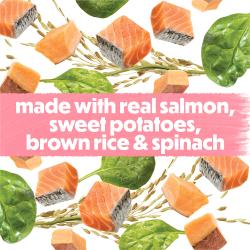 made with real salmon sweet potatoes brown rice and spinach