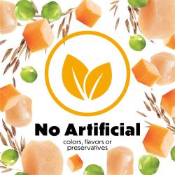 no artificial flavors