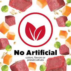 no artificial flavors