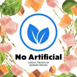 no artificial flavors